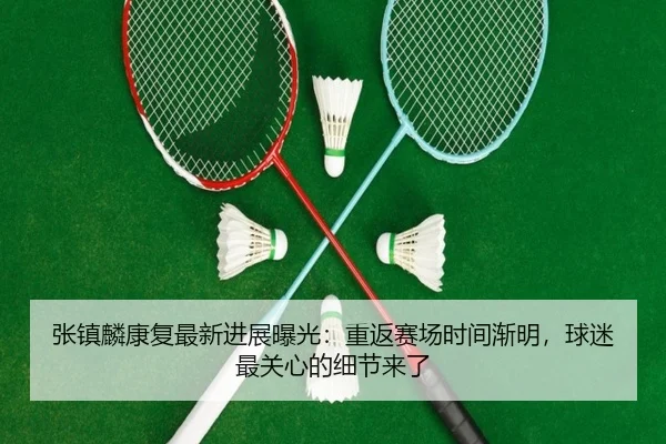 张镇麟康复最新进展曝光：重返赛场时间渐明，球迷最关心的细节来了